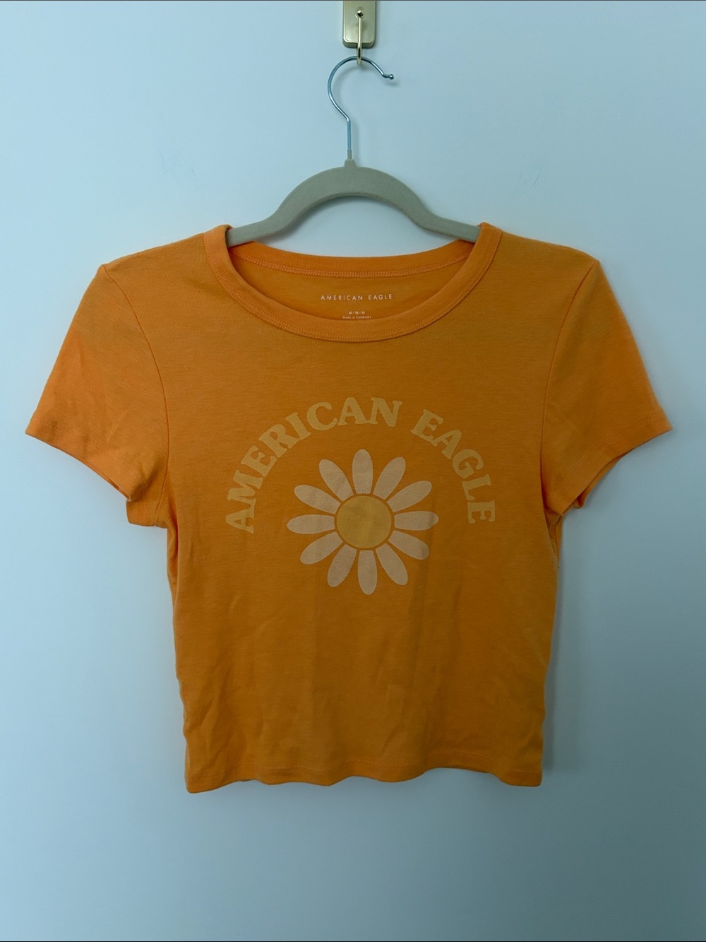 American Eagle Outfitters Orange Daisy Graphic Crop Tee